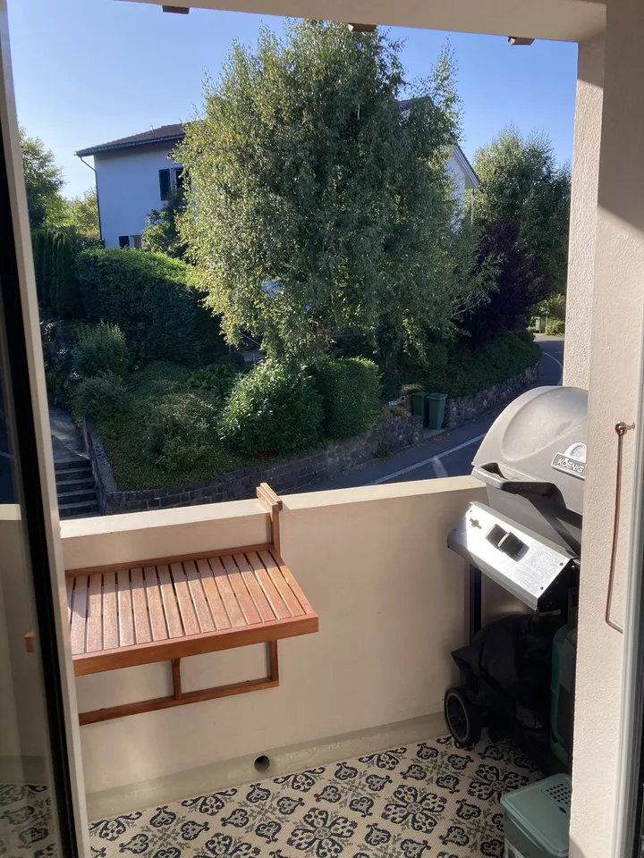 Möblierte 3-Zimmer-Wohnung in Luzern Parkplatz inbegriffen