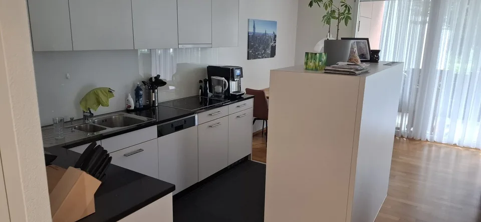 Charmant appartement 3.5 pièces au rez-de-chaussée à Sursee – disponible à partir de novembre 2026