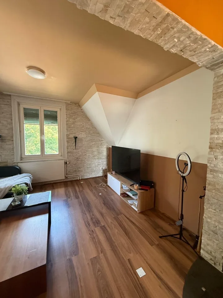 Apartment in Flawil
