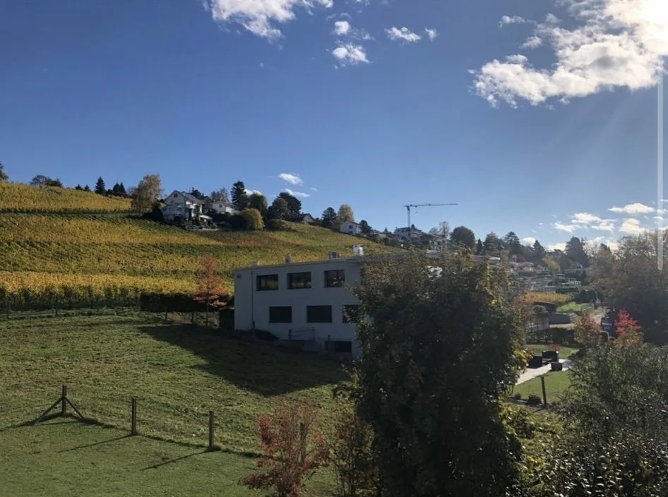 Nachmieter gesucht ruhige 4.5-Zimmerwohnung mit See- und Bergsicht