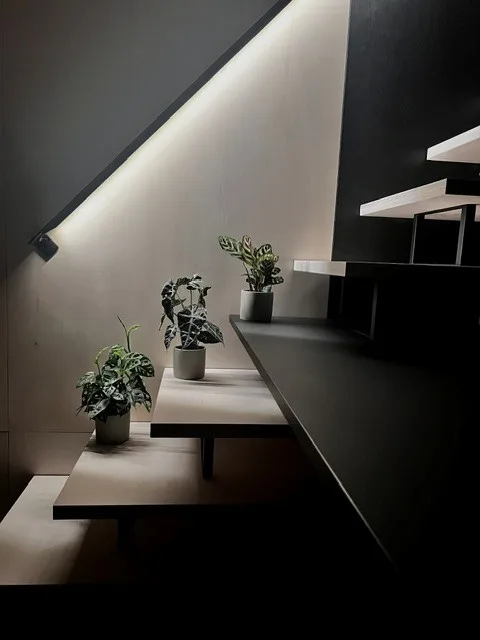 2.5-Zimmer-Tiny-House mit spektakulärer Zürichsee-Aussicht – ca. 20 Min. von Zürich