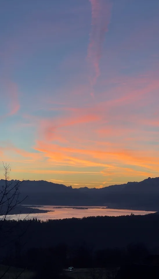 Nachmieter gesucht: 2.5-Zimmer-Tiny-House mit spektakulärer Zürichsee-Aussicht