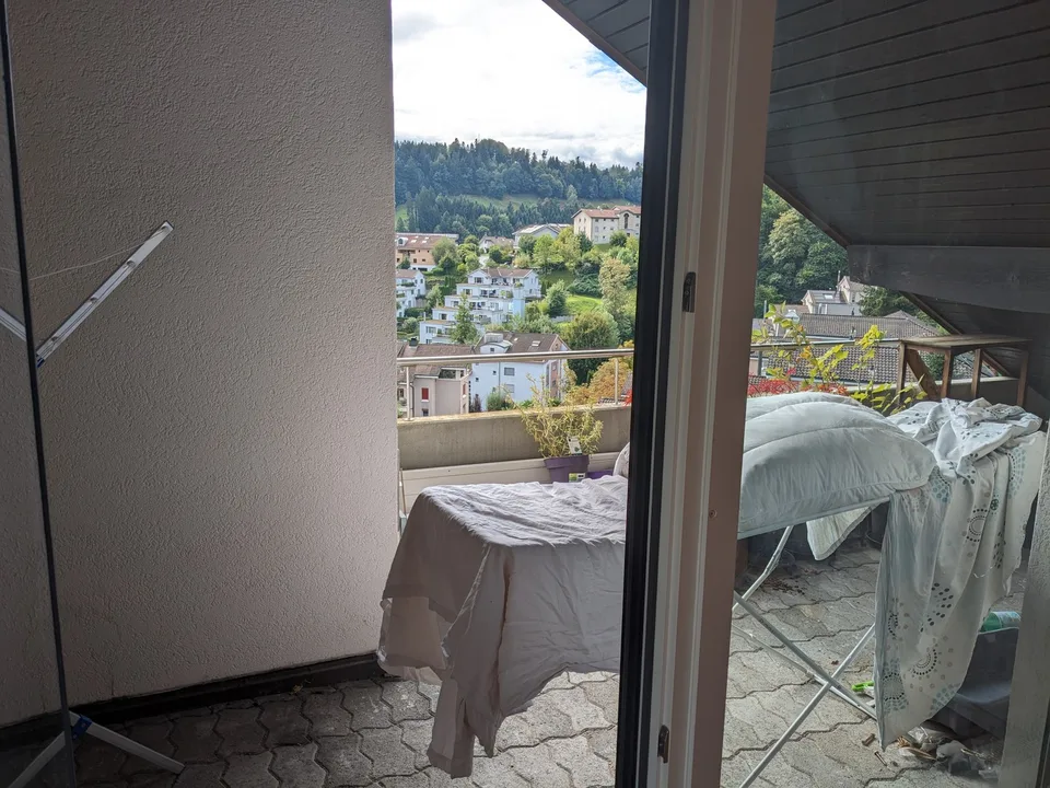 Sehr helle 2,5 Zimmer Wohnung mit toller Aussicht auf Rigi und Pilatus