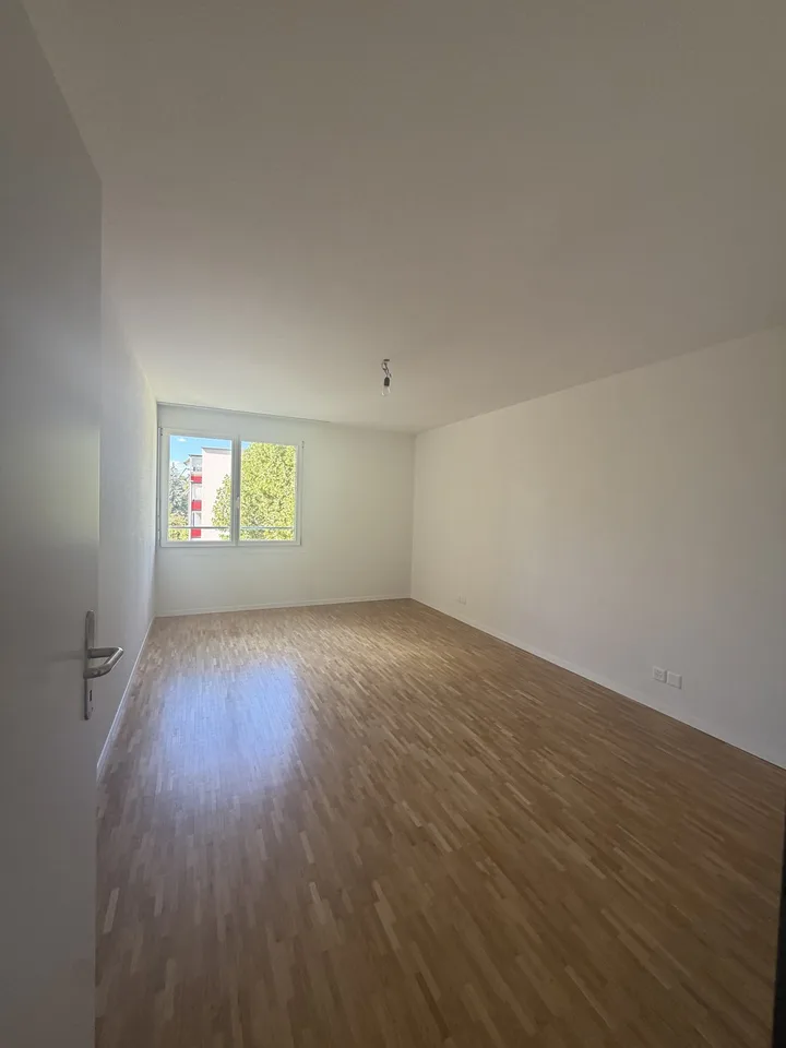 Moderne schöne Wohnung