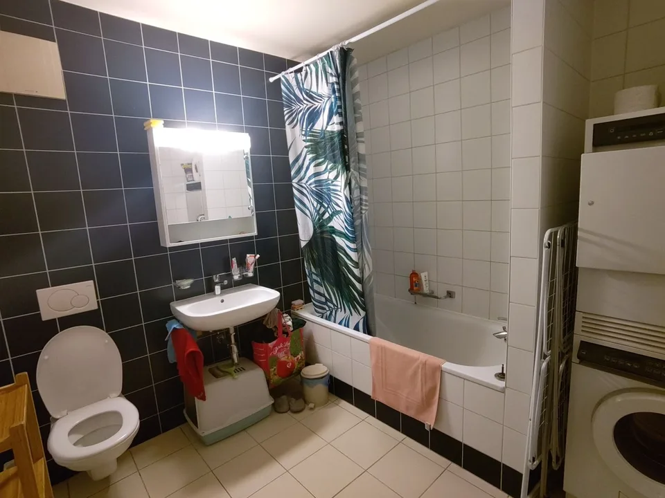 Chambre disponible dans une colocation à Vevey