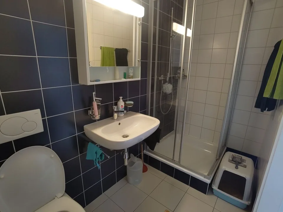Chambre disponible dans une colocation à Vevey