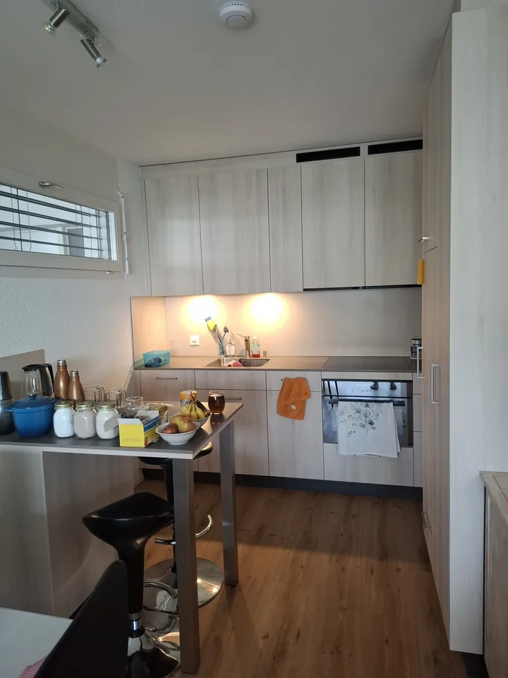 Ruhige, frisch renovierte Ein-Zimmer-Wohnung zu vermieten – befristet: 01.10.26-14.02.27