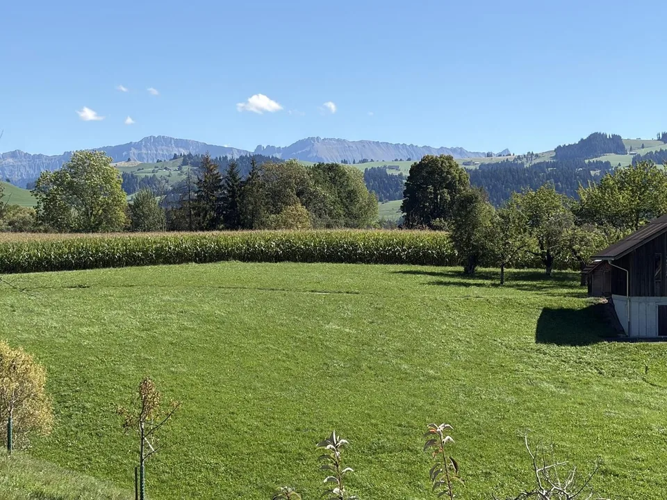 Attikawohnung Sonnenarena - Wohnen mit Weitblick