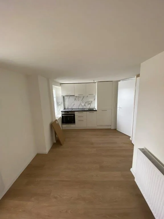 Helle 1-Zimmer-Wohnung mit Balkon in Fehraltorf – foto 5 di 14