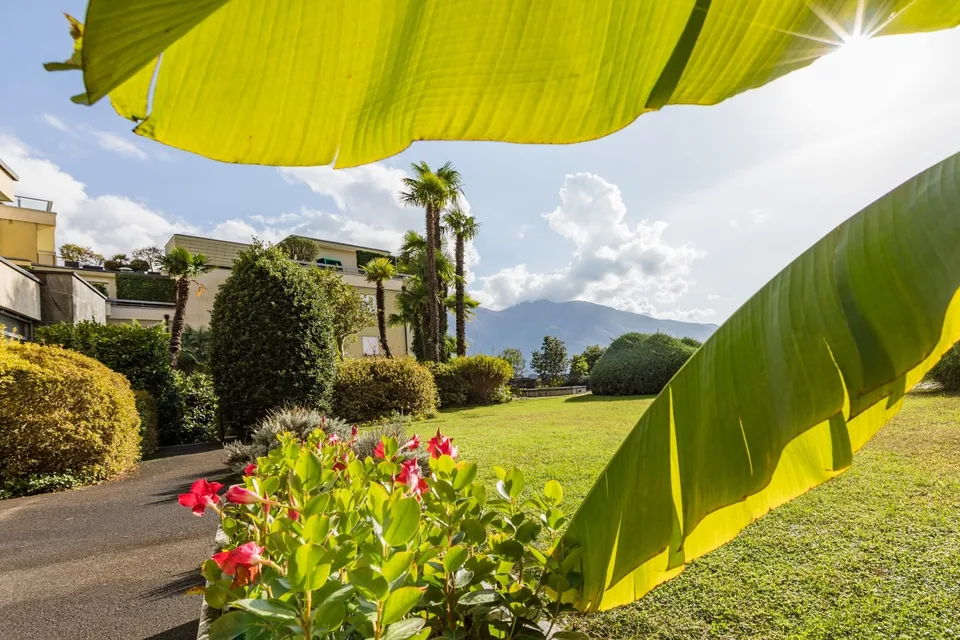 "Ferienstudio im sonnigen Tessin zum mieten"