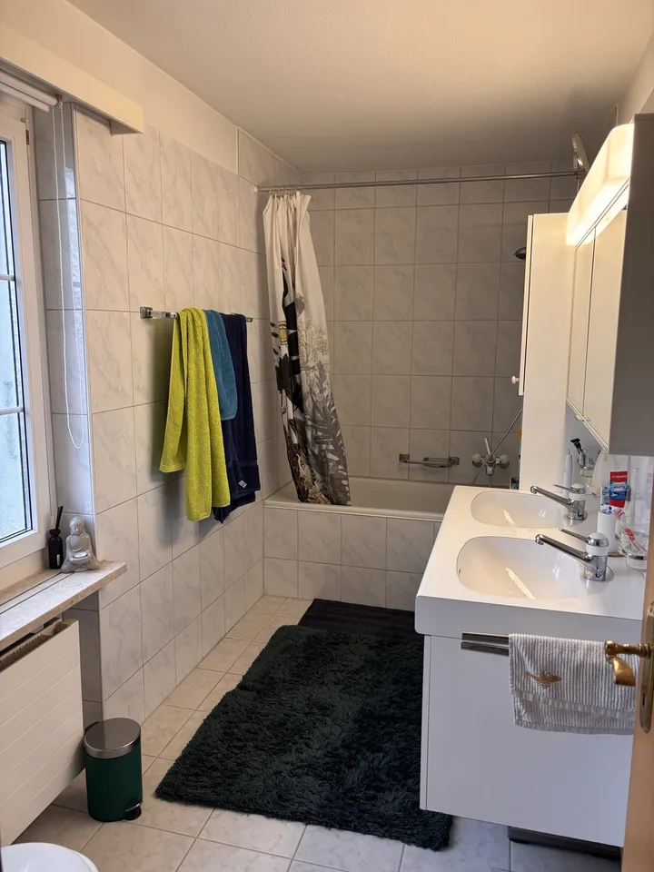 4.5 Zimmer Wohnung / Haushälfte in Meilen