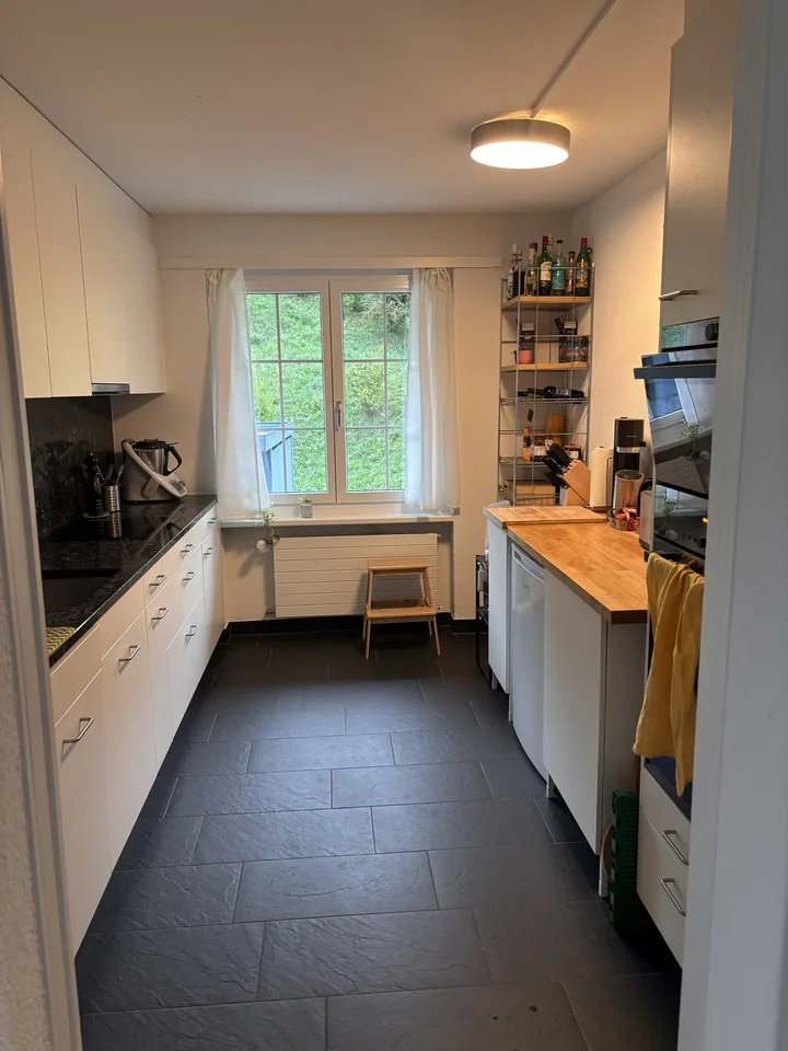 4.5 Zimmer Wohnung / Haushälfte in Meilen