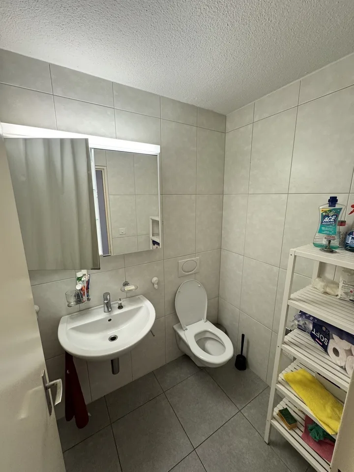 Grosses WG Zimmer in Dübendorf