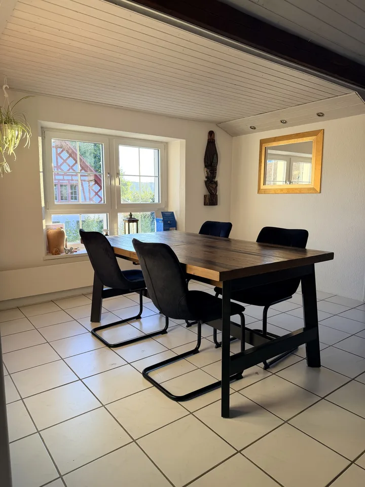 3.5 Zimmer Dachwohung im Loft Style mit Seesicht und grosser Terasse