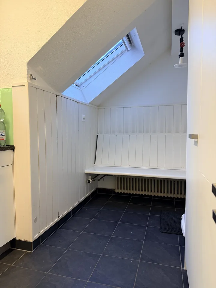 3.5 Zimmer Dachwohung im Loft Style mit Seesicht und grosser Terasse