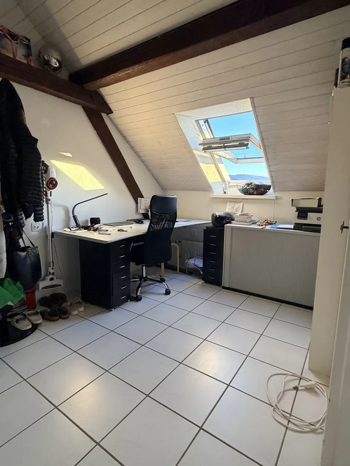 3.5 Zimmer Dachwohung im Loft Style mit Seesicht und grosser Terasse