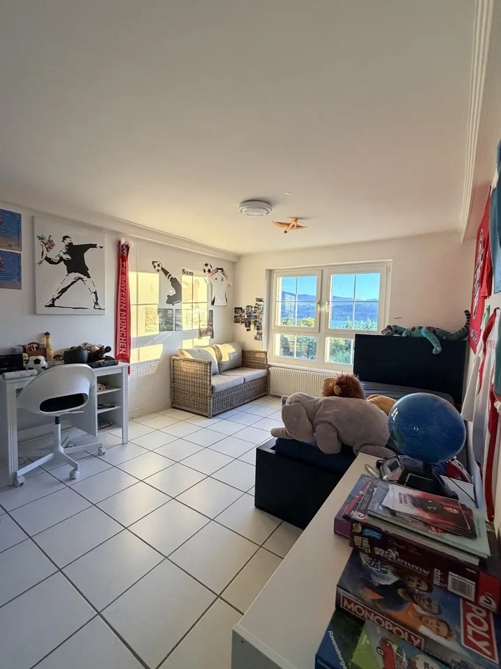 3.5 Zimmer Dachwohung im Loft Style mit Seesicht und grosser Terasse