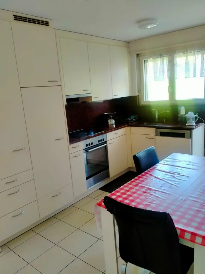 Attraktive 4.5-Zimmer-Wohnung in Emmen zu vermieten