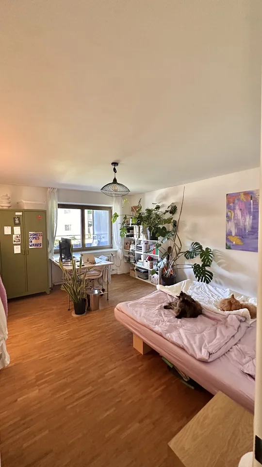 Möblierte Wohnung zur Zwischenmiete | Dezember 2026 & Januar 2027 | mit 2 liebevollen Maine-Coon-Katzen
