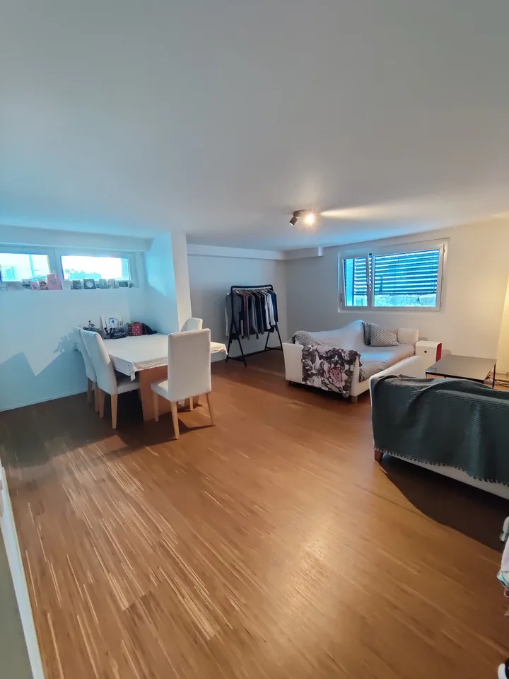 Large 2-room apartment in Pfäffikon SZ