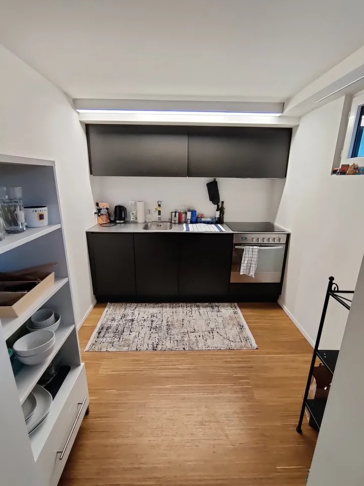 Large 2-room apartment in Pfäffikon SZ