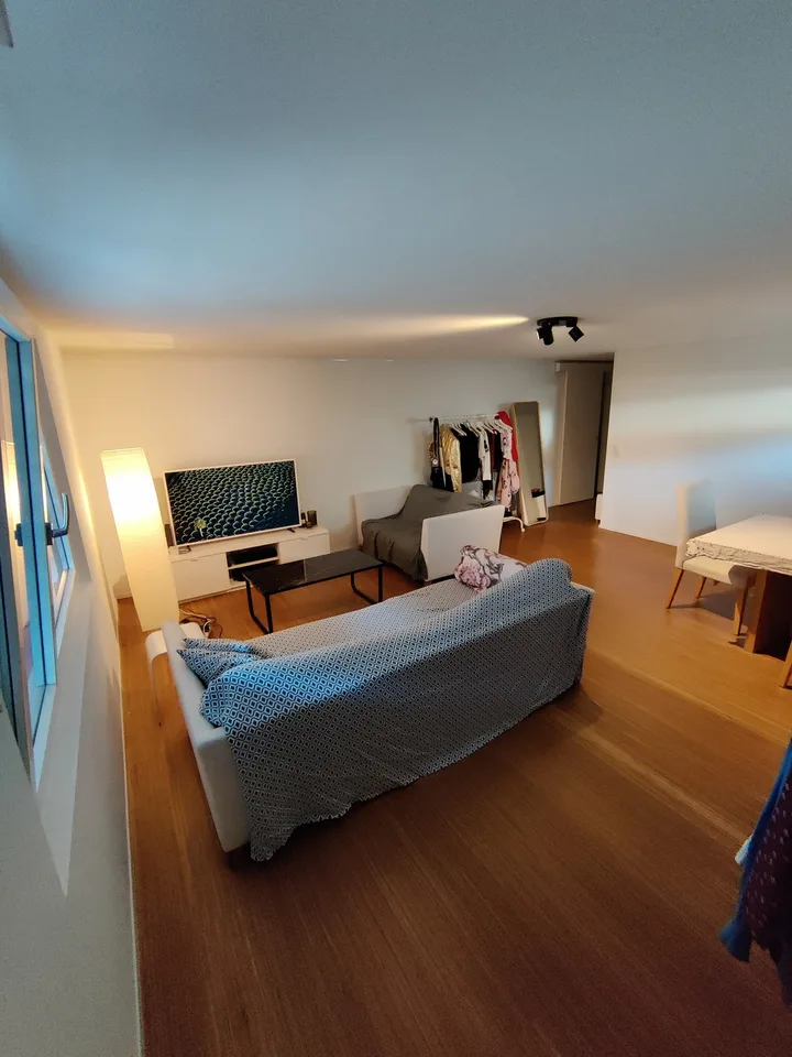 Large 2-room apartment in Pfäffikon SZ