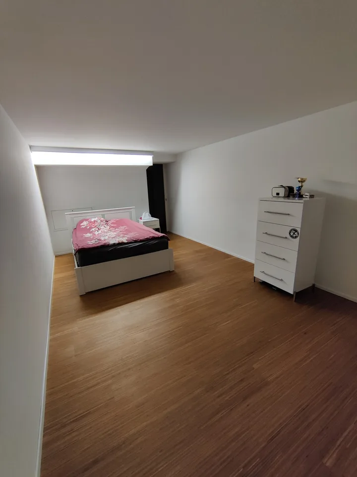 Large 2-room apartment in Pfäffikon SZ