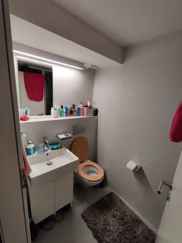 Large 2-room apartment in Pfäffikon SZ