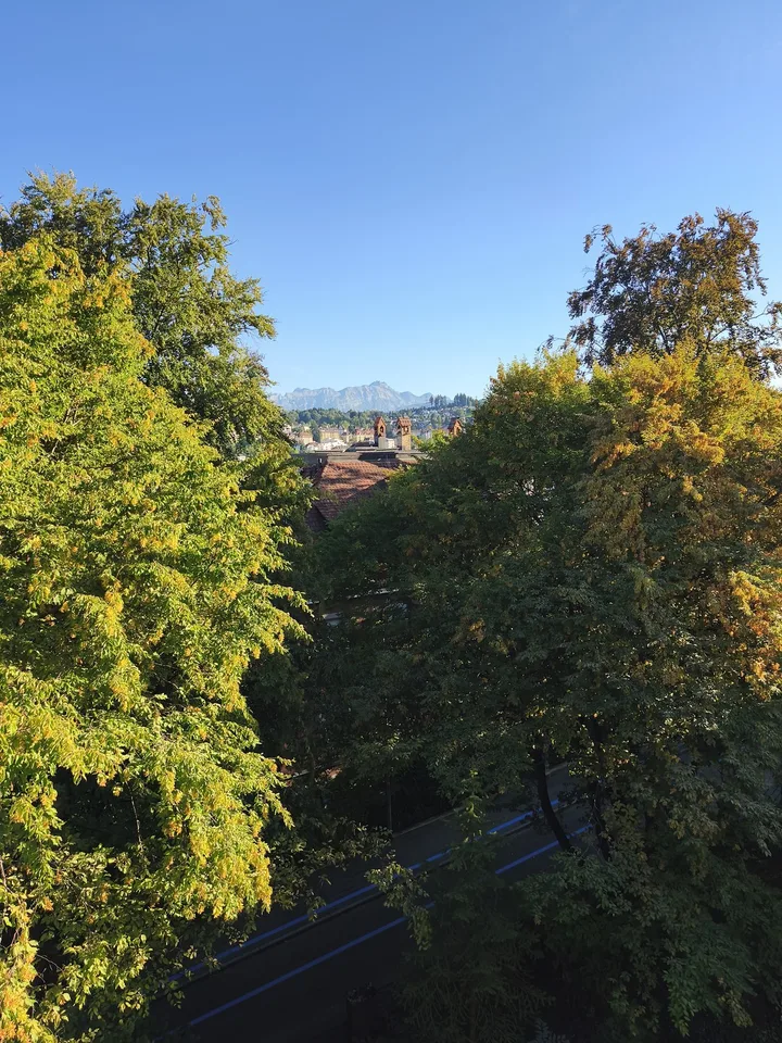 Charmante 4.5 Zimmer-Wohnung mit Balkon und Sicht über St. Gallen – foto 2 di 15