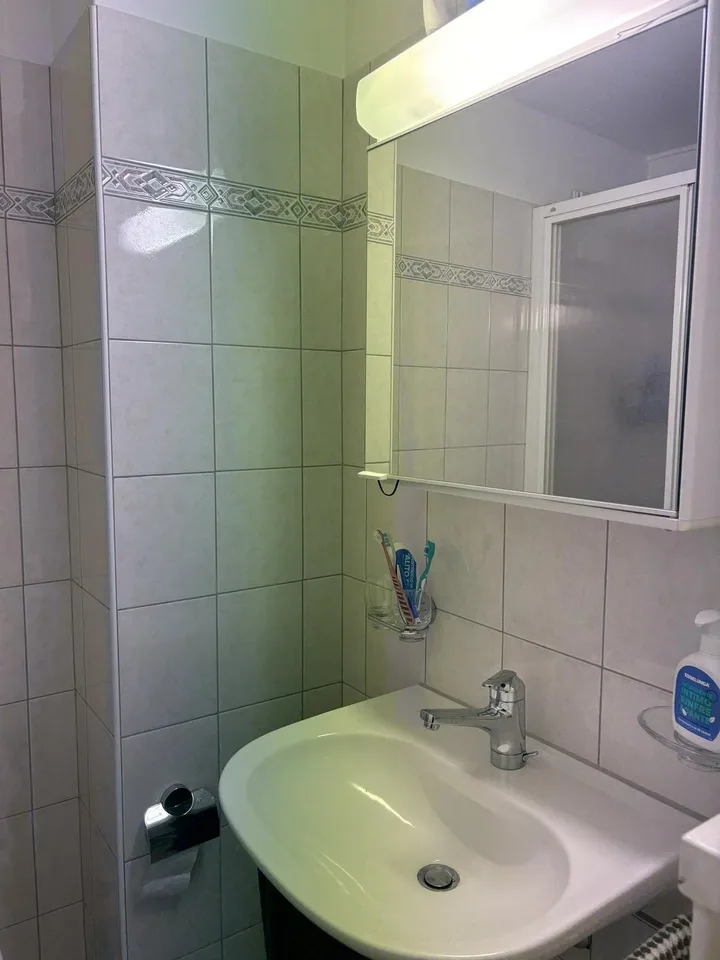 Gesucht: Einziehender für dieses Einzimmerapartment in Locarno – Foto 8 von 8