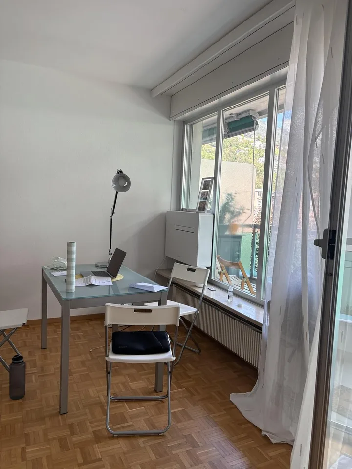 Gesucht: Einziehender für dieses Einzimmerapartment in Locarno – Foto 7 von 8