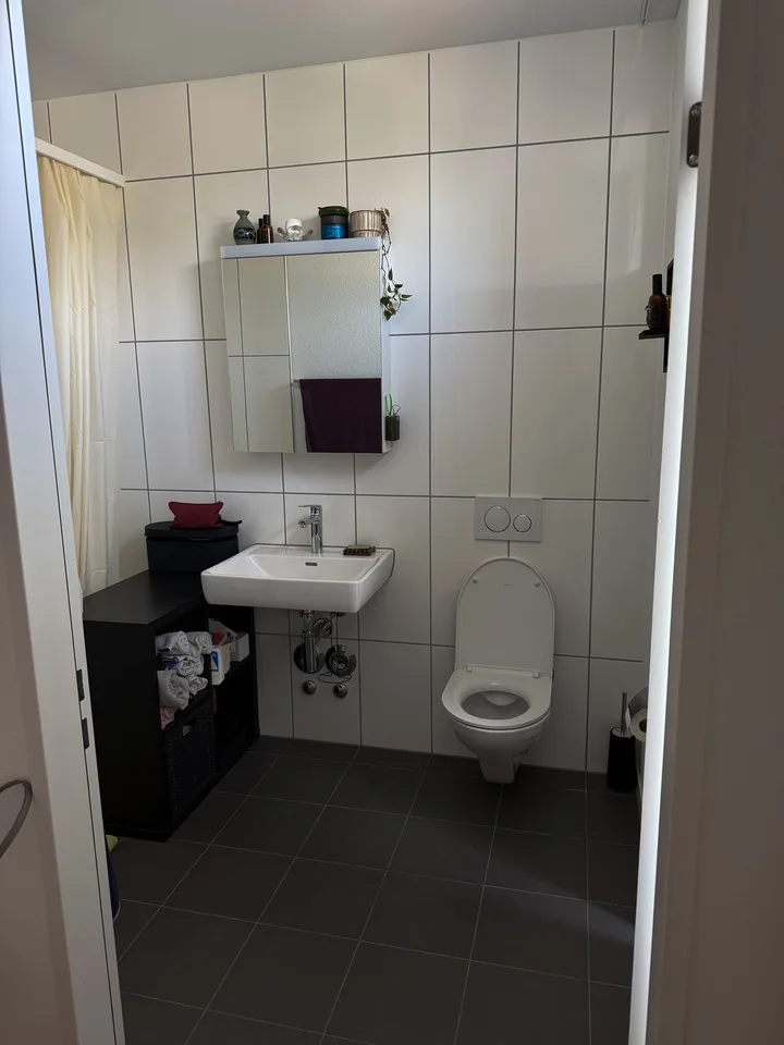 Temporäres gemütliches 2.5 in Nidfeld, verfügbar im Januar (flexibel, nach Absprache) – Foto 3 von 6