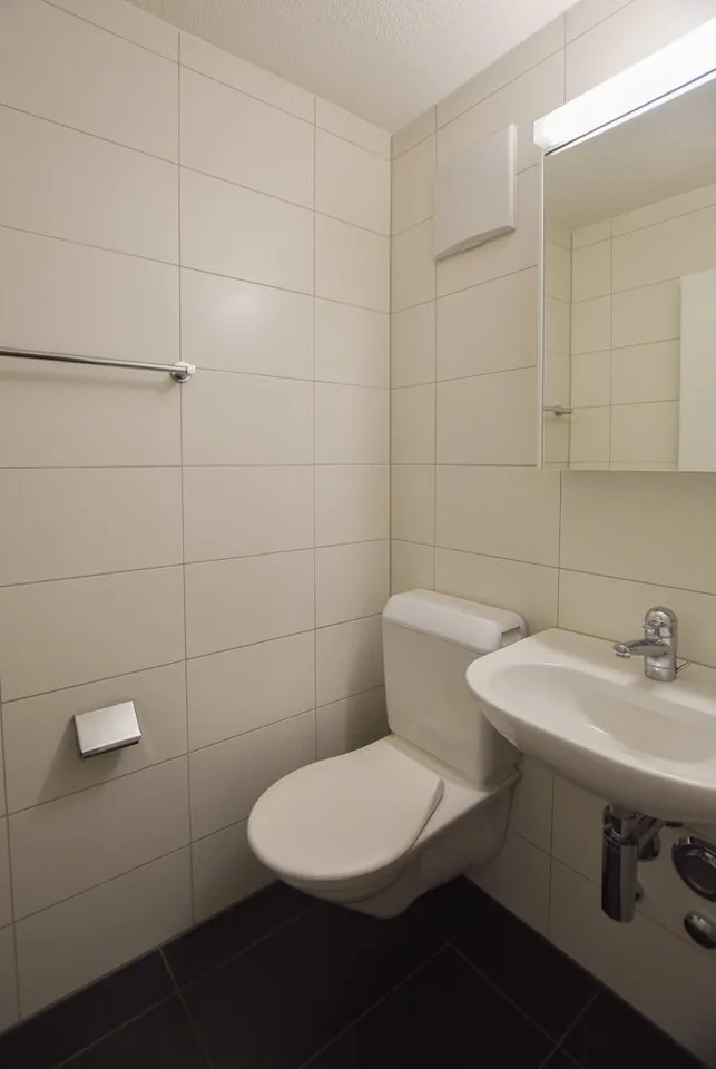 Appartement rénové de 3,5 pièces avec galerie à louer – photo 6 sur 10