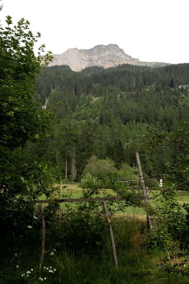 Grosszügige 2 ½ Zi mitten in den Bergen – foto 14 di 14
