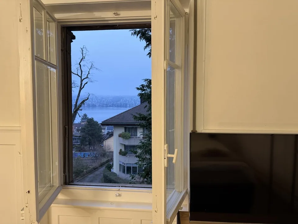 Furnished Flat in Rüschlikon – photo 23 of 30