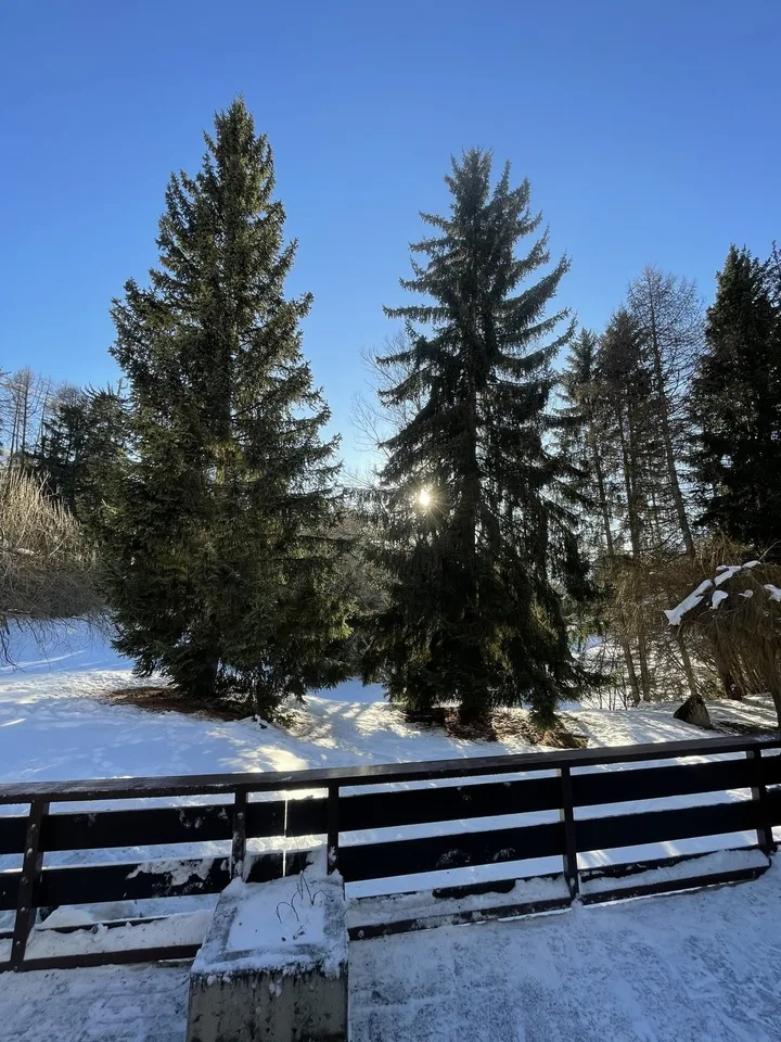 Au coeur de Crans, à quelques pas de tous vos désirs – foto 10 di 11