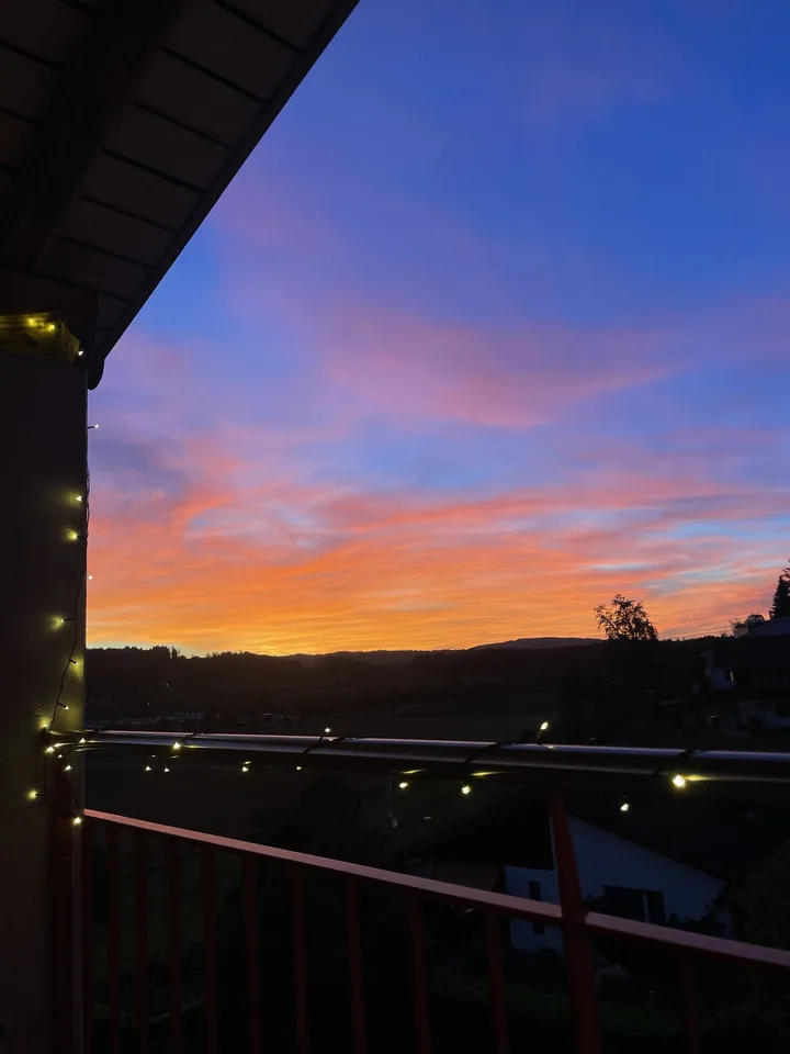 Large, bright apartment with a great view in Wettswil am Albis - Fully furnished for 1 year – photo 8 of 16