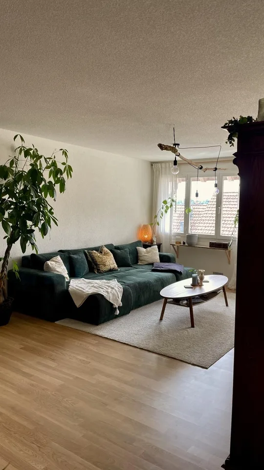 Large, bright apartment with a great view in Wettswil am Albis - Fully furnished for 1 year – photo 1 of 16