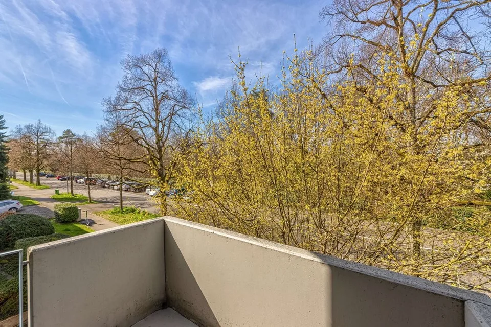 Ruhiges Wohnquartier in Riehen – Foto 10 von 10