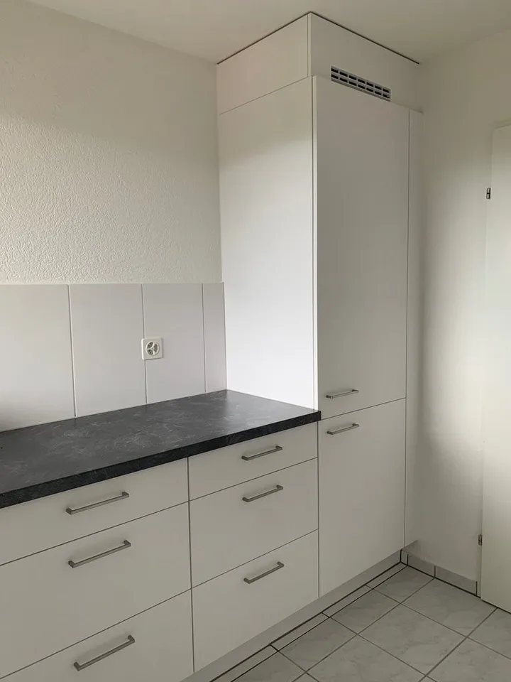 Spacious 3.5-room apartment with chimney – photo 3 of 12