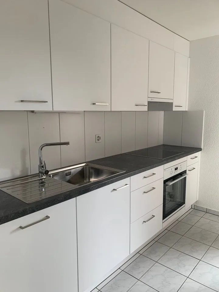Spacious 3.5-room apartment with chimney – photo 2 of 12
