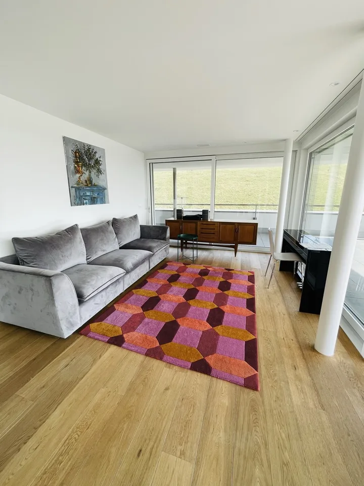 3½ Room Apartment in Baar (ZG), Furnished – foto 3 di 17