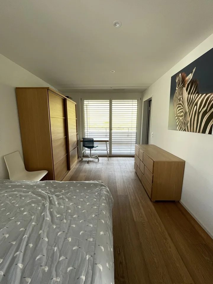 3½ Room Apartment in Baar (ZG), Furnished – foto 6 di 17