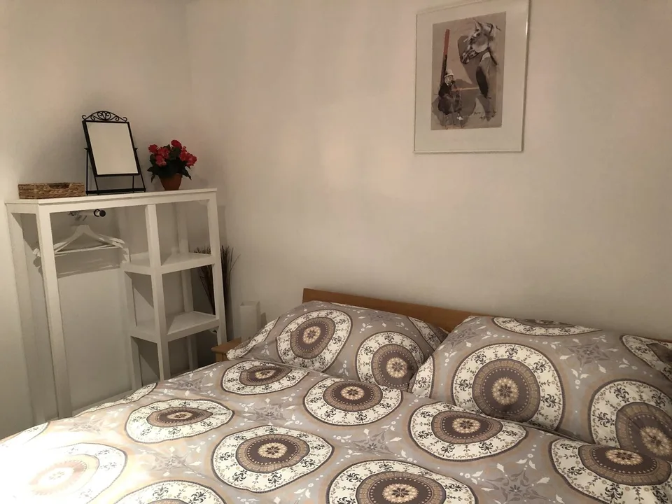 Appartamento di 3 Locali a Rapperswil (SG), Arredato, Temporaneo – foto 10 di 20