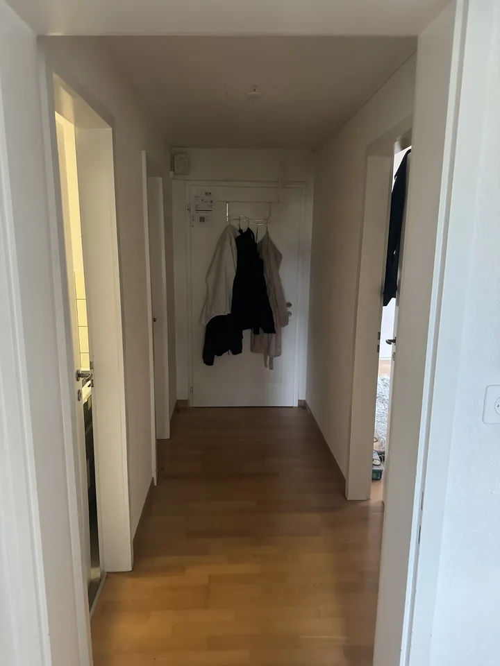 2.5 Zimmerwohnung Befristet – Foto 4 von 5
