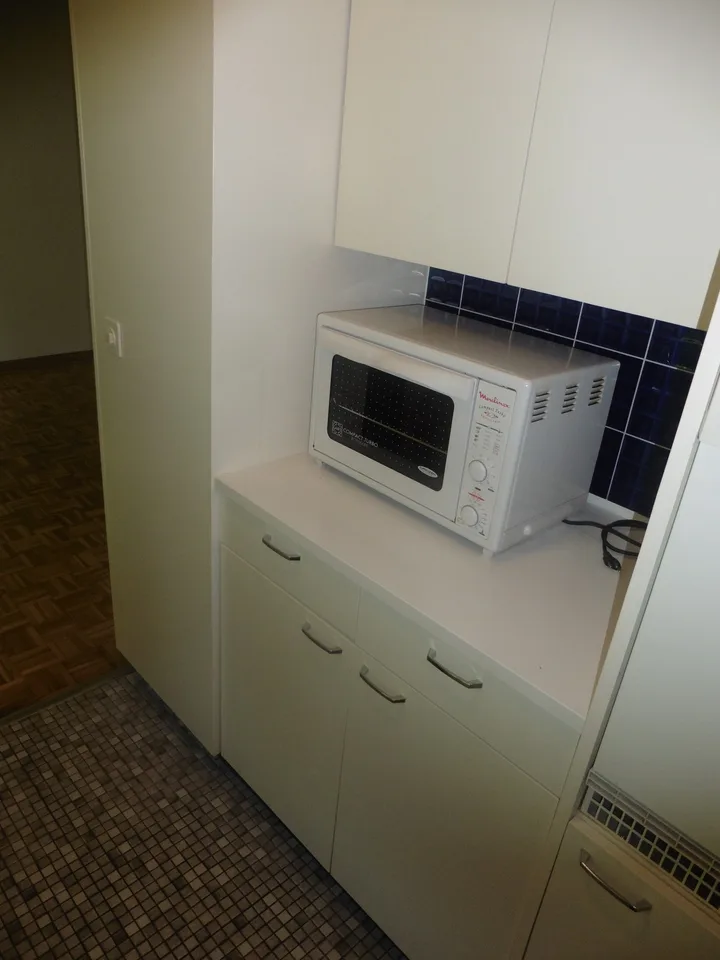 Büchelring 1, 8134 Adliswil - CHF 801 inkl. NK pro Monat – photo 5 sur 8