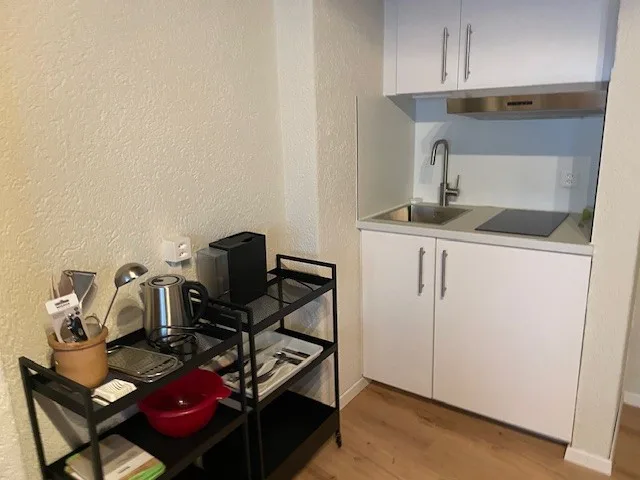 Voll möblierte 2-Zimmer Wohnung im Zentrum von Baden – Foto 8 von 12