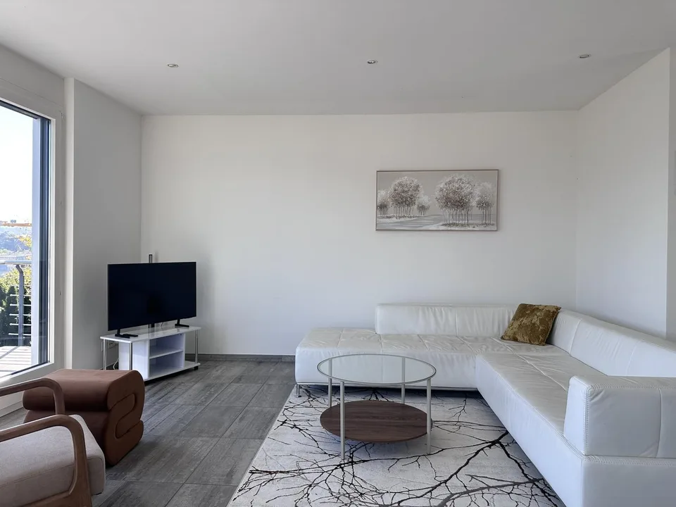 Beautiful Furnished Private Apartment in Thalwil (limited till 31.12.2027) – Foto 3 von 23