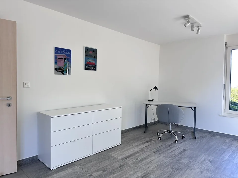 Beautiful Furnished Private Apartment in Thalwil (limited till 31.12.2027) – Foto 11 von 23