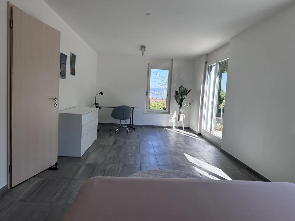 Beautiful Furnished Private Apartment in Thalwil (limited till 31.12.2027) – Foto 9 von 23